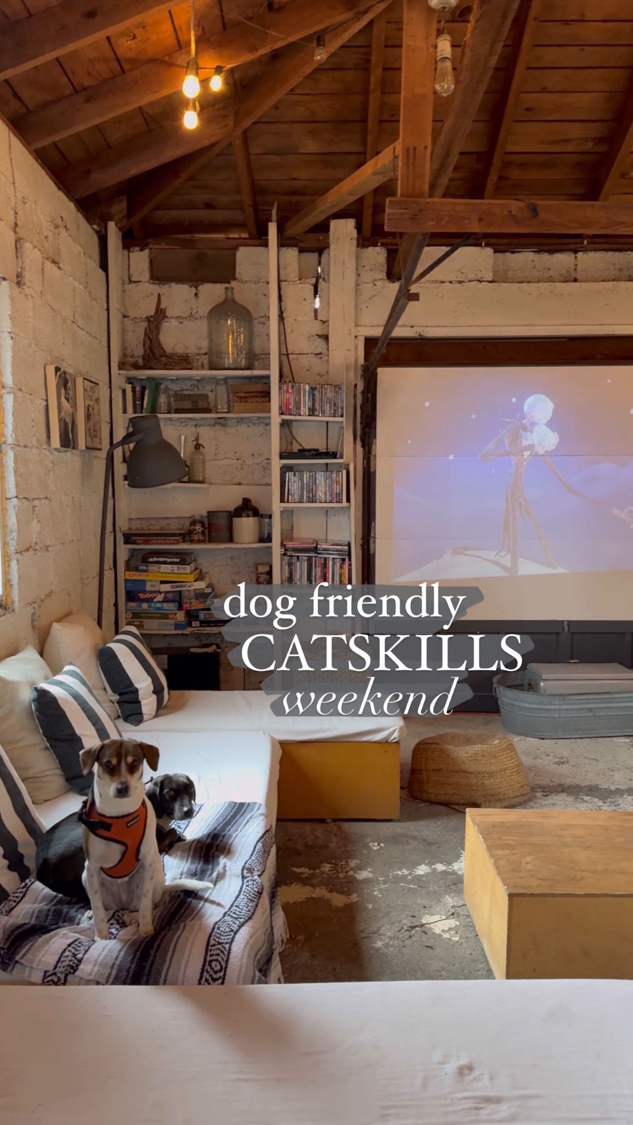 Cozy Dog-Friendly Catskills Winter Getaway