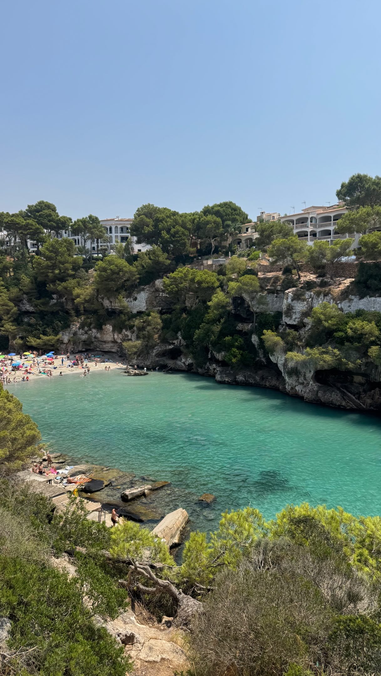 Mallorca's Culinary Delights: A Foodie's Island Guide