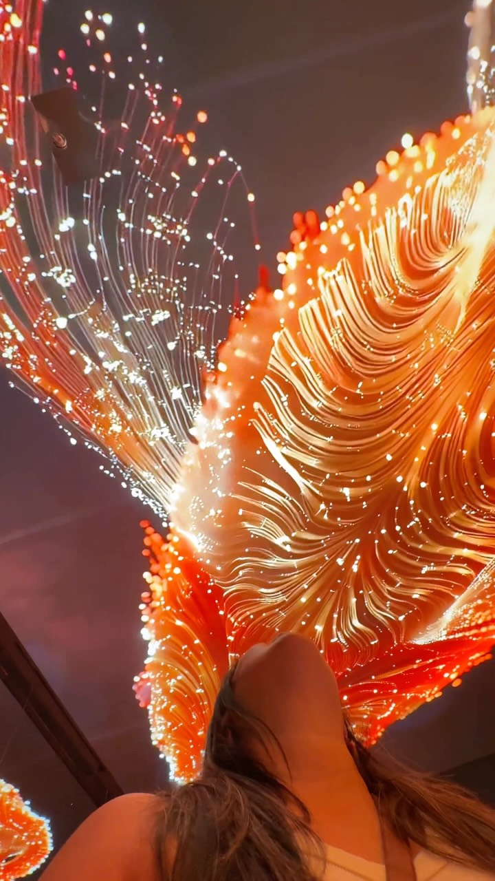 Goldfish Exhibit at Shanghai's Bund Finance Center