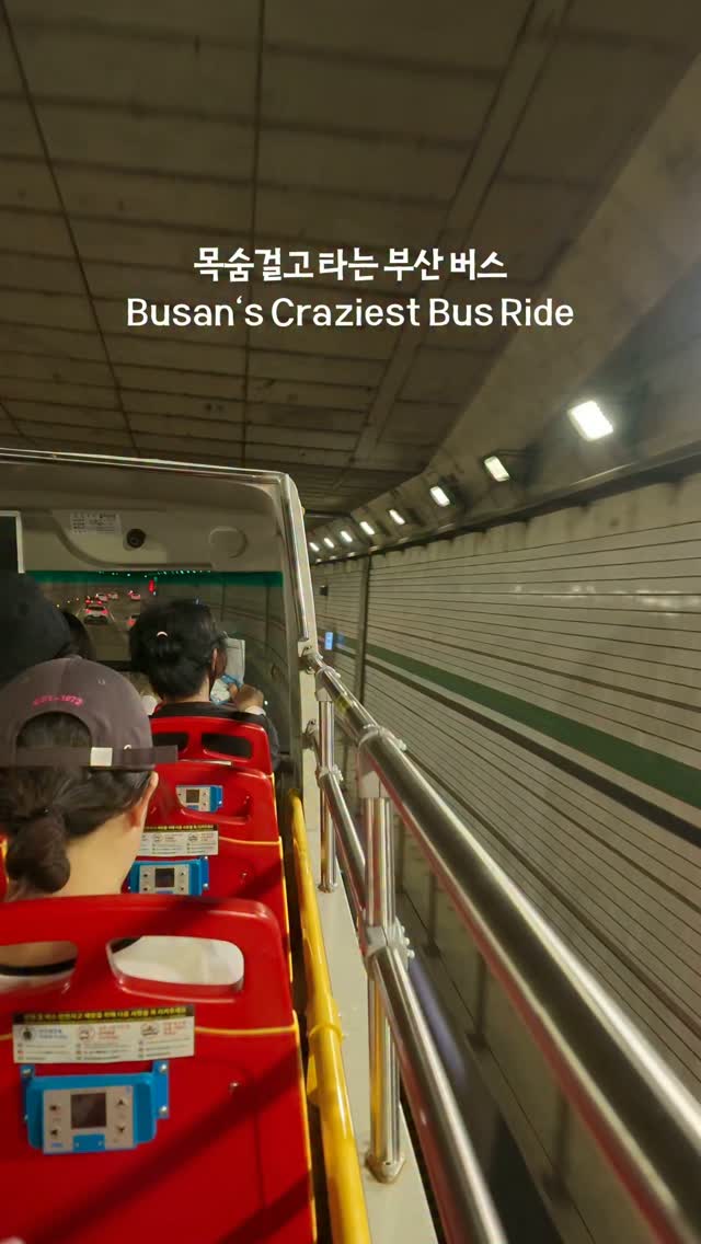 Busan's Beaches and Bridges