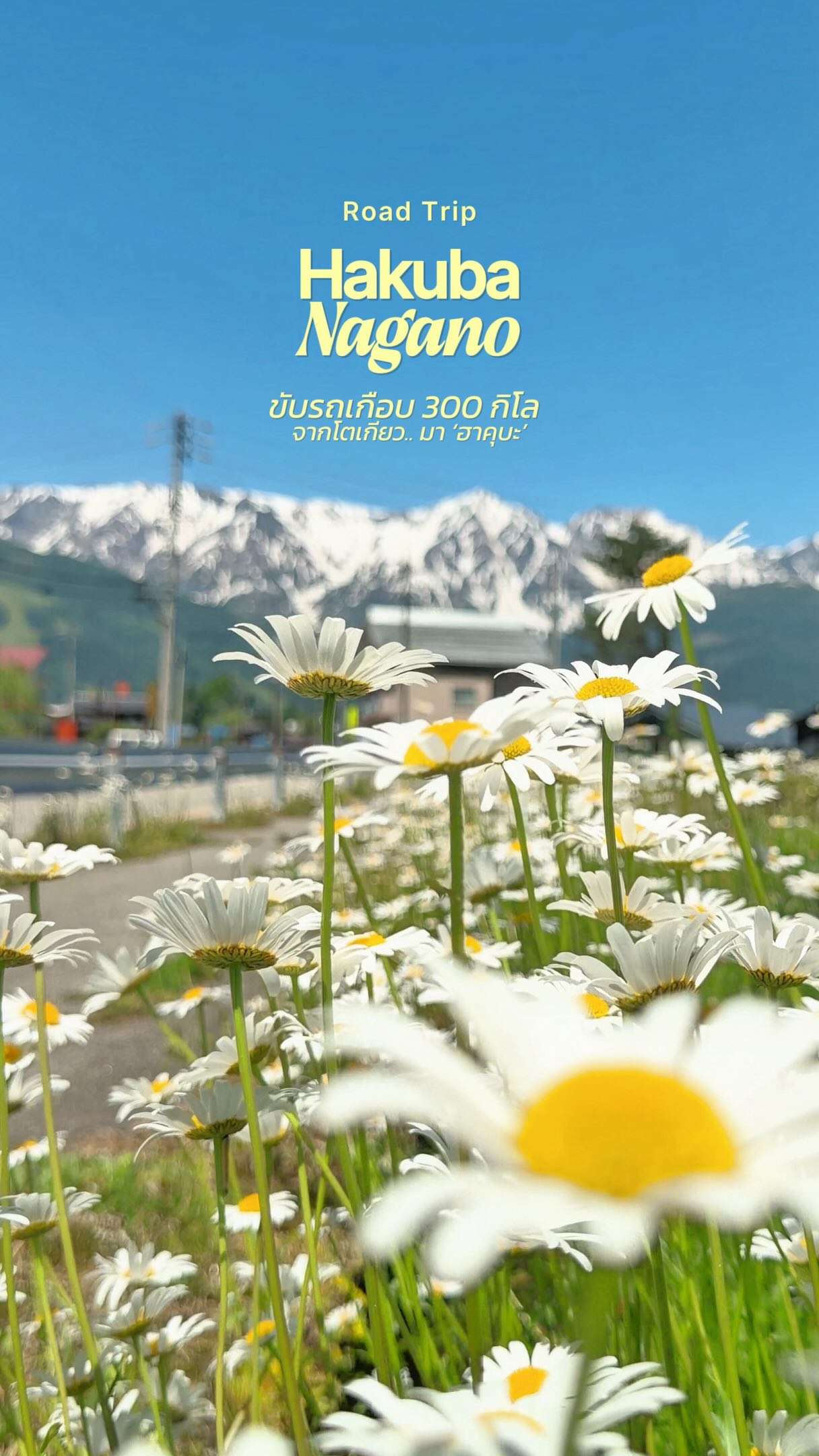 2 Parks in Hakuba