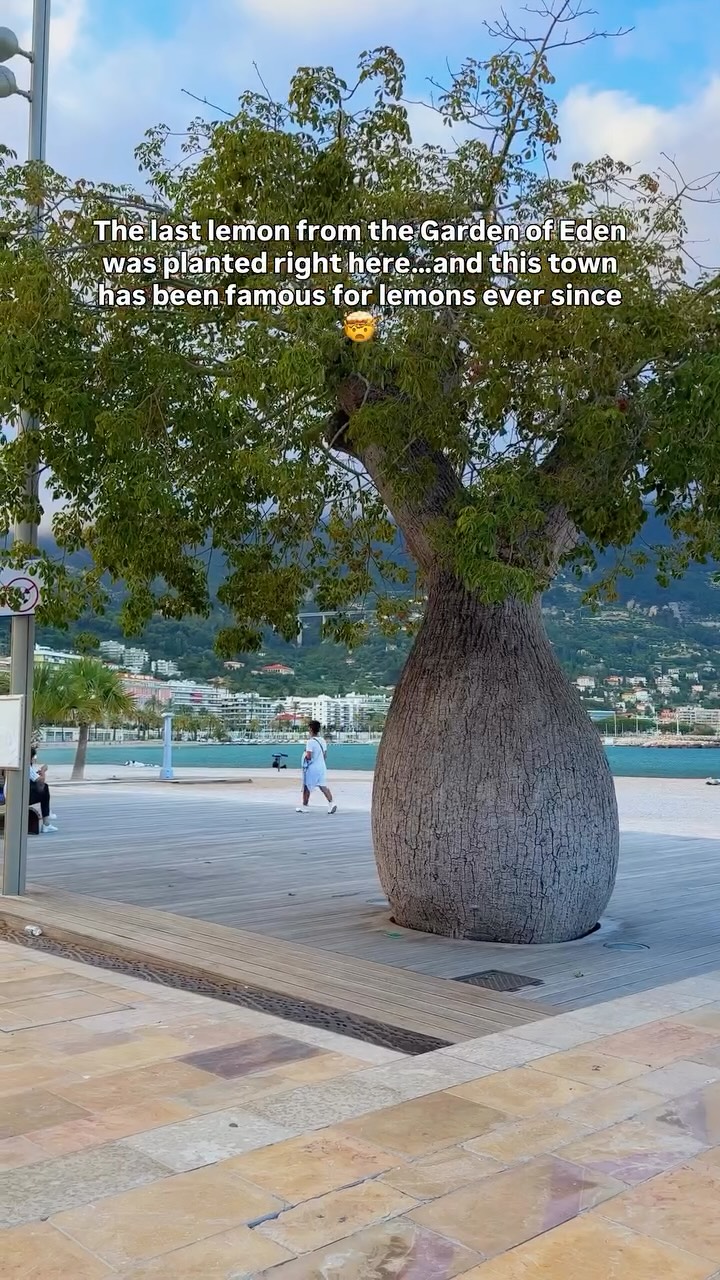 Menton's Attractions: Old Town, Basilica, and Cemetery