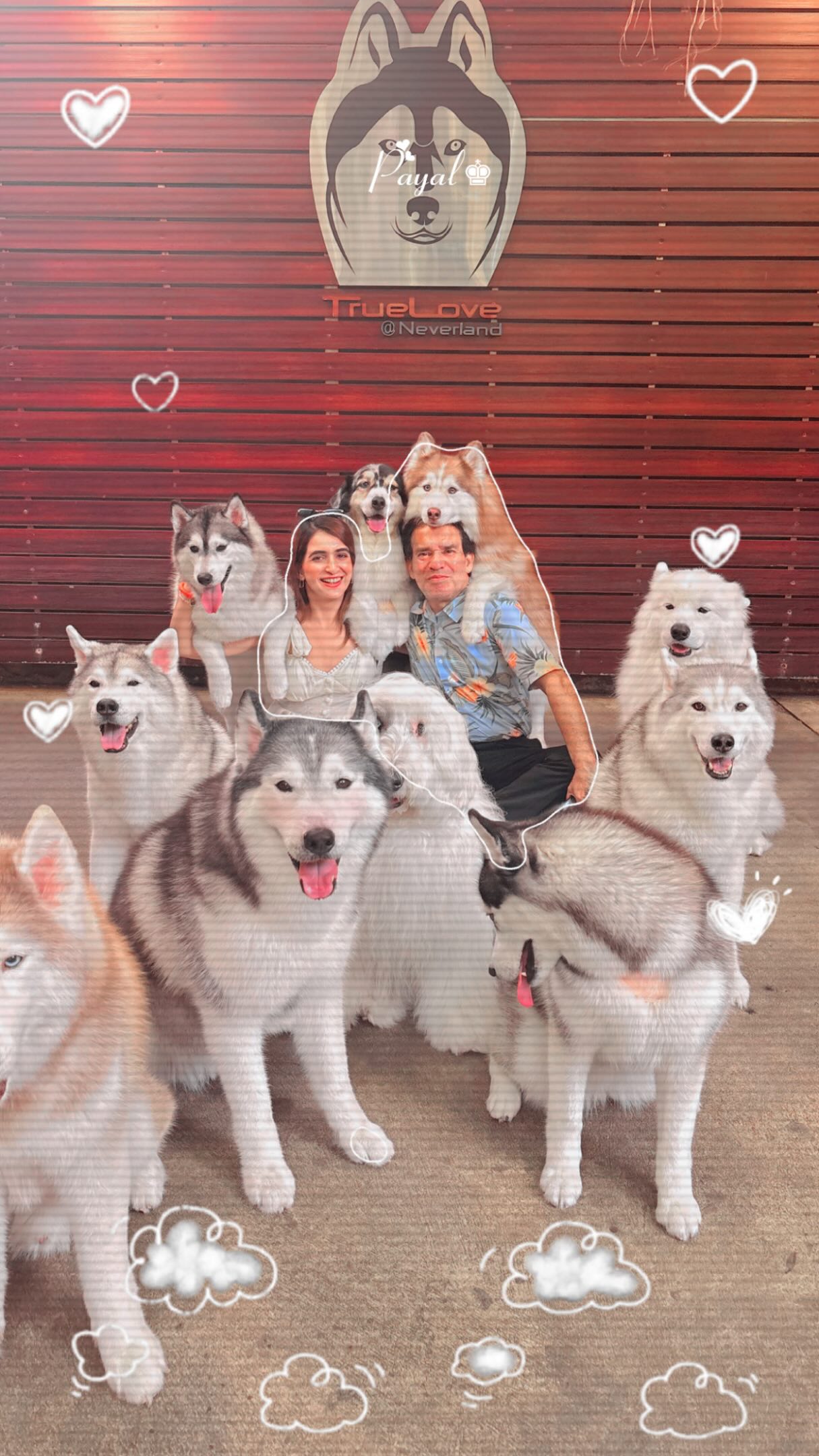 Thailand's Husky Cafe: A Memorable Experience