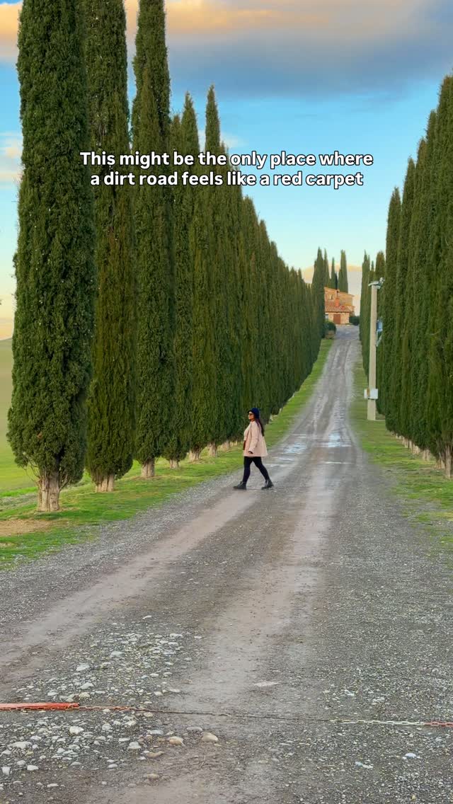 Tuscan Scenery Featuring Cypress-Lined Roads