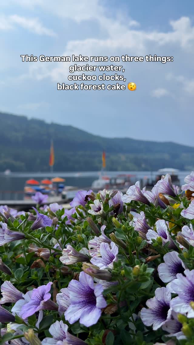 5 Places in Baden-Württemberg
