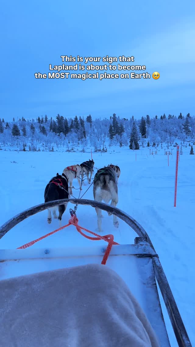 Lapland's Enchanting Winter Destinations