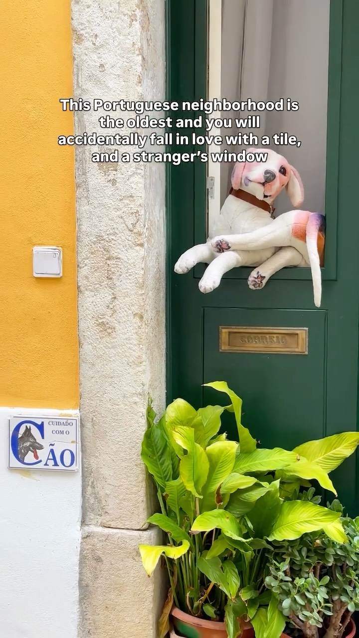 Explore Lisbon's Historic Alfama District