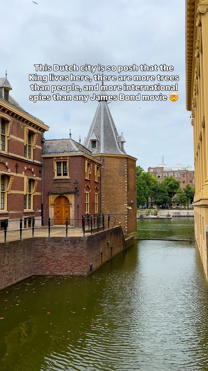 The Hague: Palaces, Art, and Diplomacy