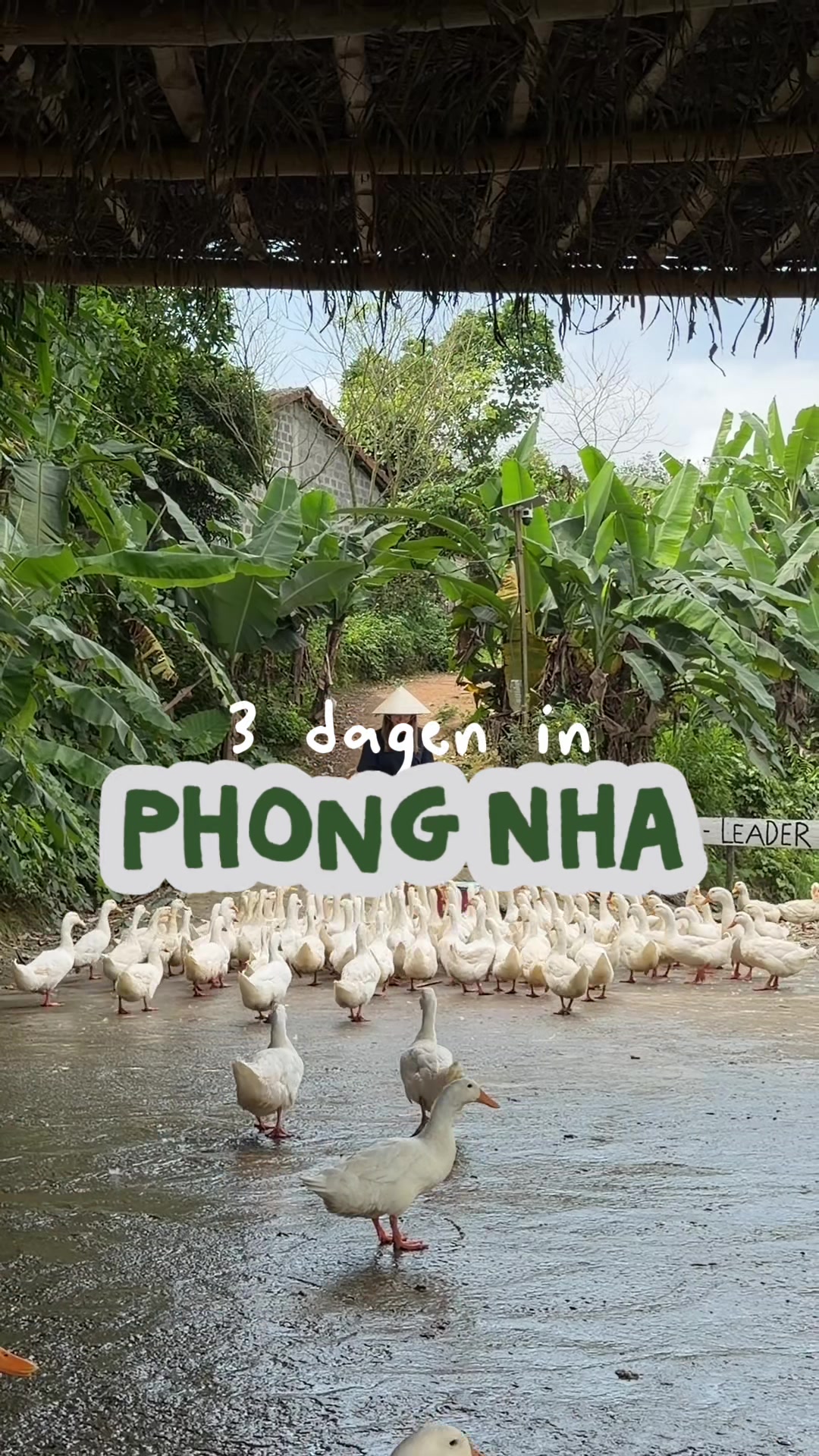 7 Places in Quảng Trị