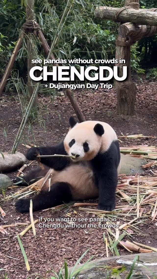 4 Attractions in Cheng Du Shi