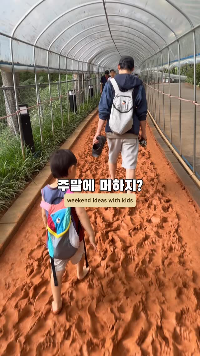 Family Weekend Outings With Kids