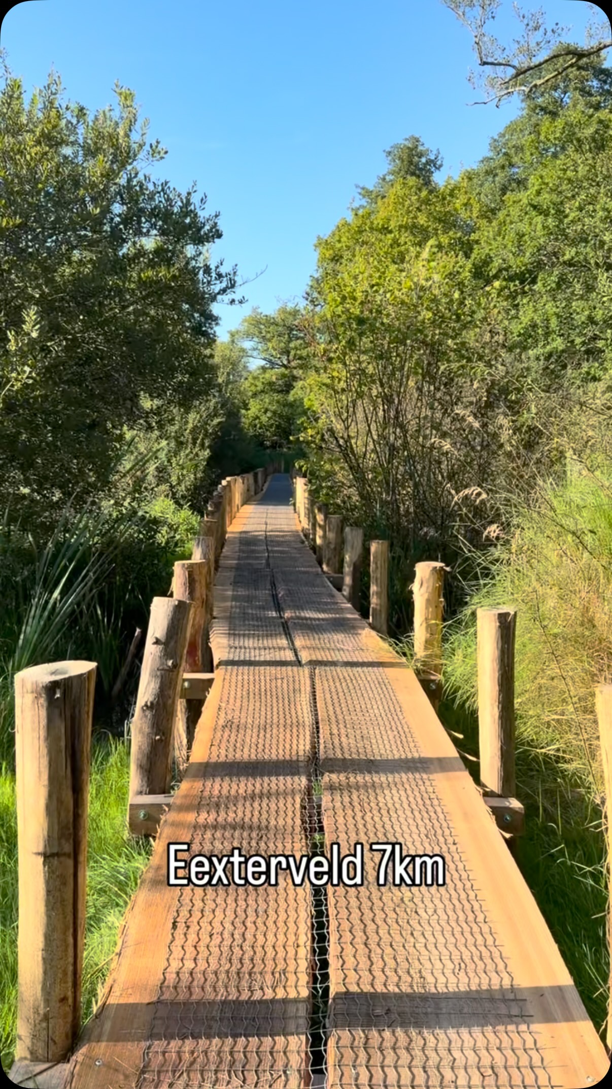 Seven Dutch Nature Spots for Walks