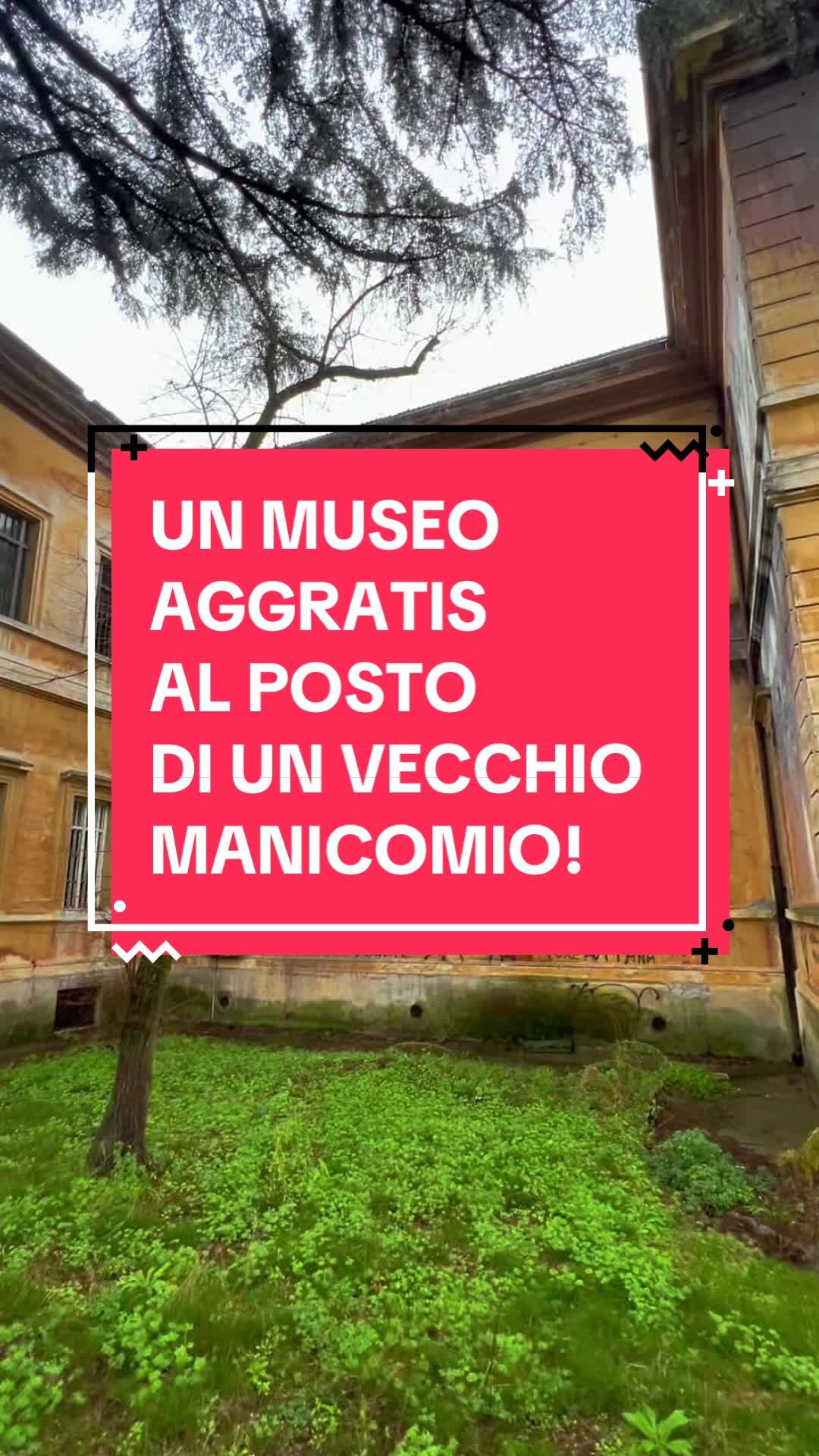 Rome's Unique Street Art Museum at Former Asylum