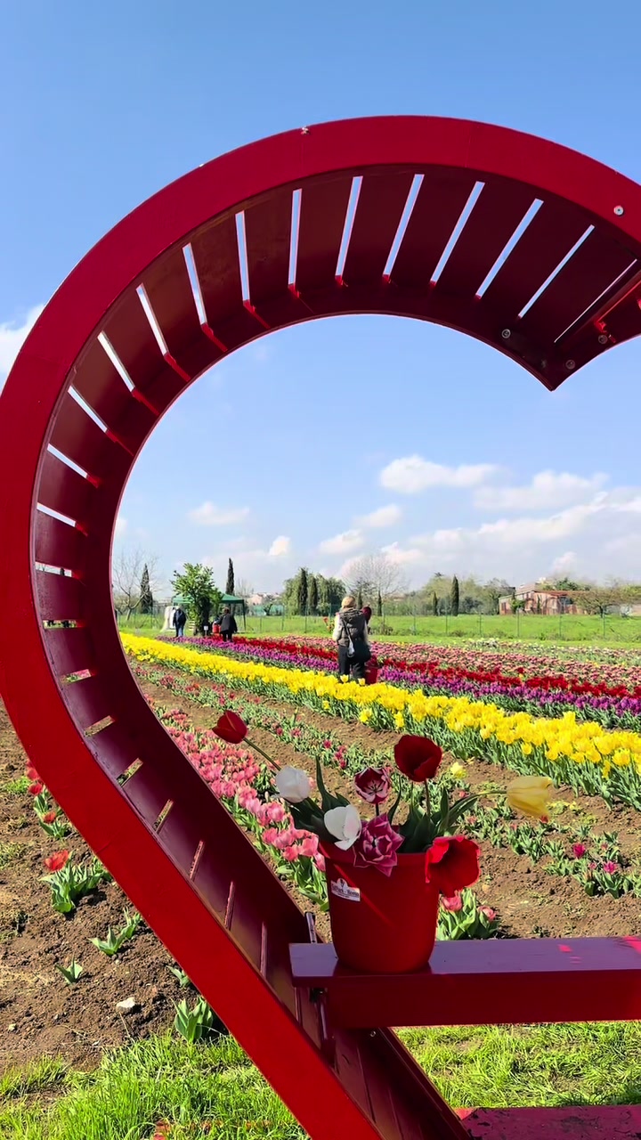 Tulip Park in Rome Showcases Vibrant Flowers