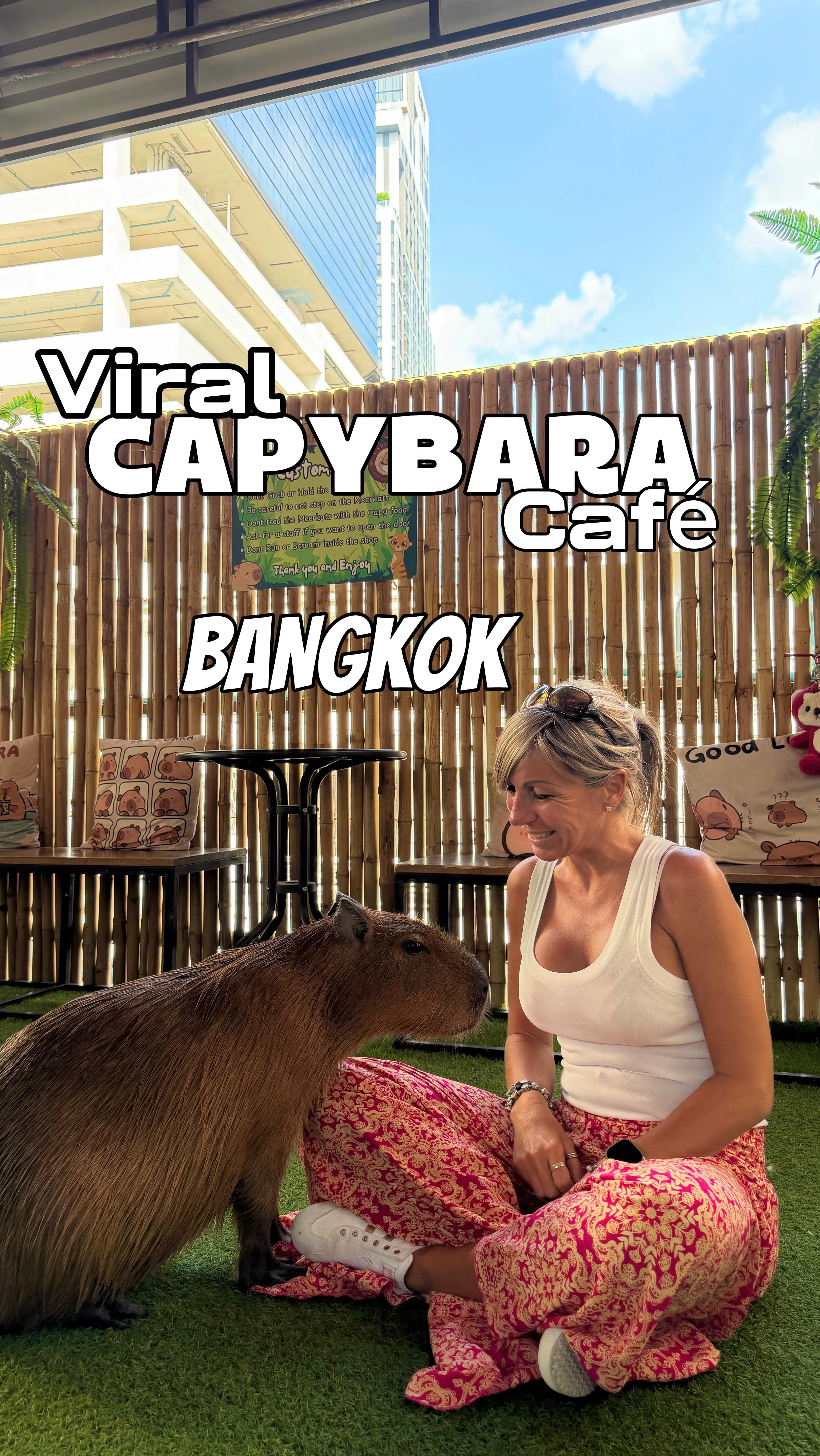 Bangkok Cafe Features Capybaras and Other Animals