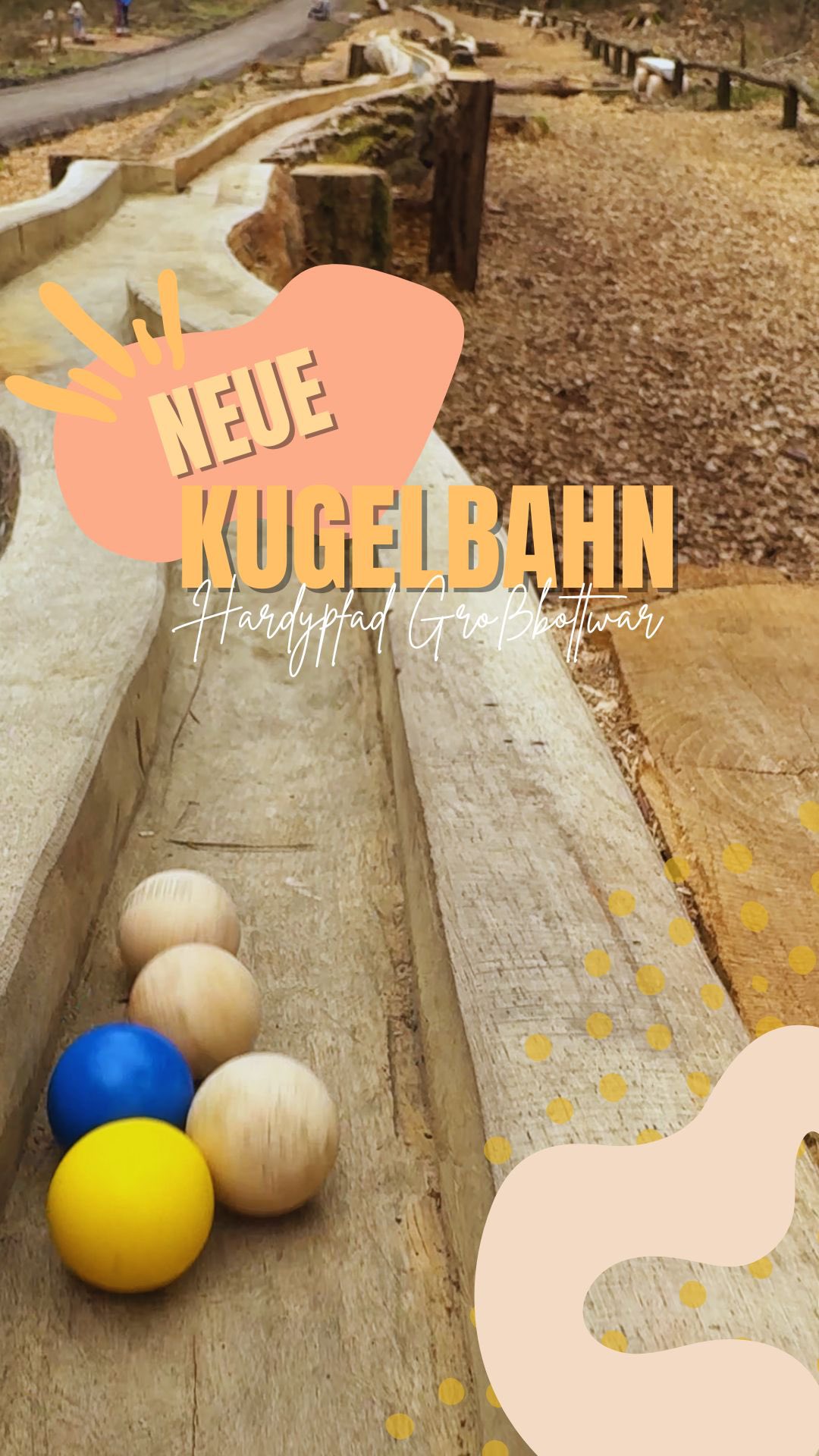 New Forest Adventure Trail With Water Play