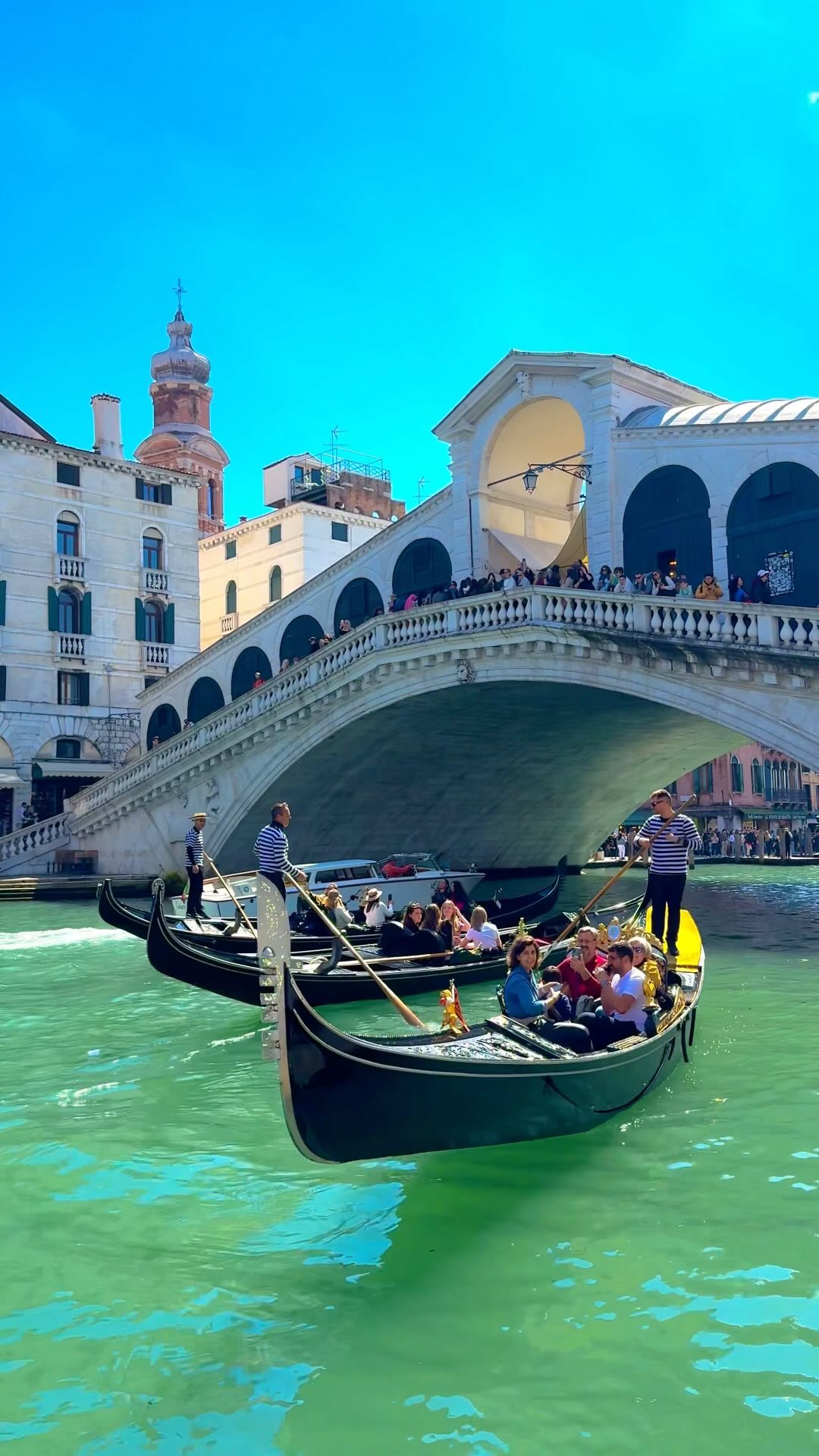 Venice's Rialto Bridge and Grand Canal