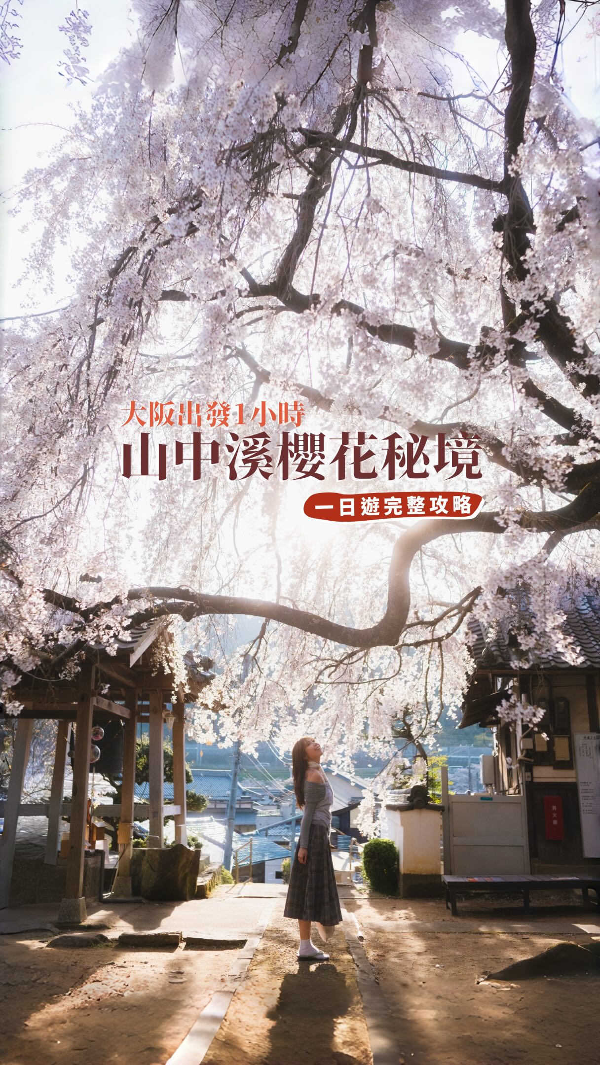 Cherry Blossom Spots Near Osaka