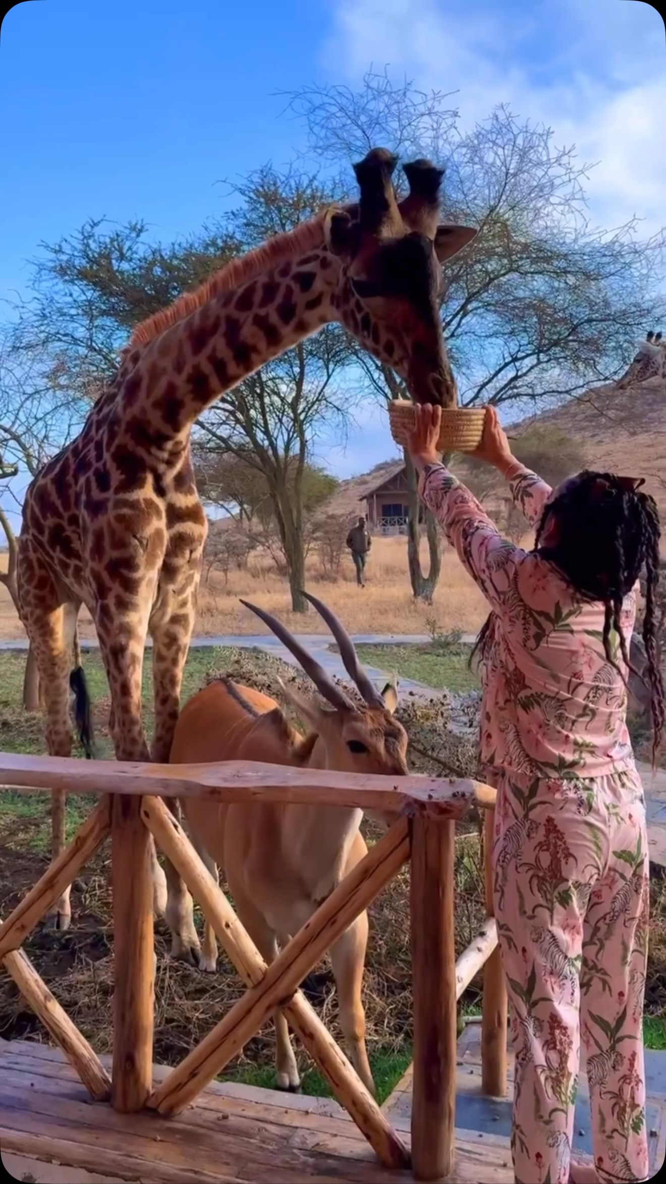 Tanzanian Wildlife Safaris and Lodges