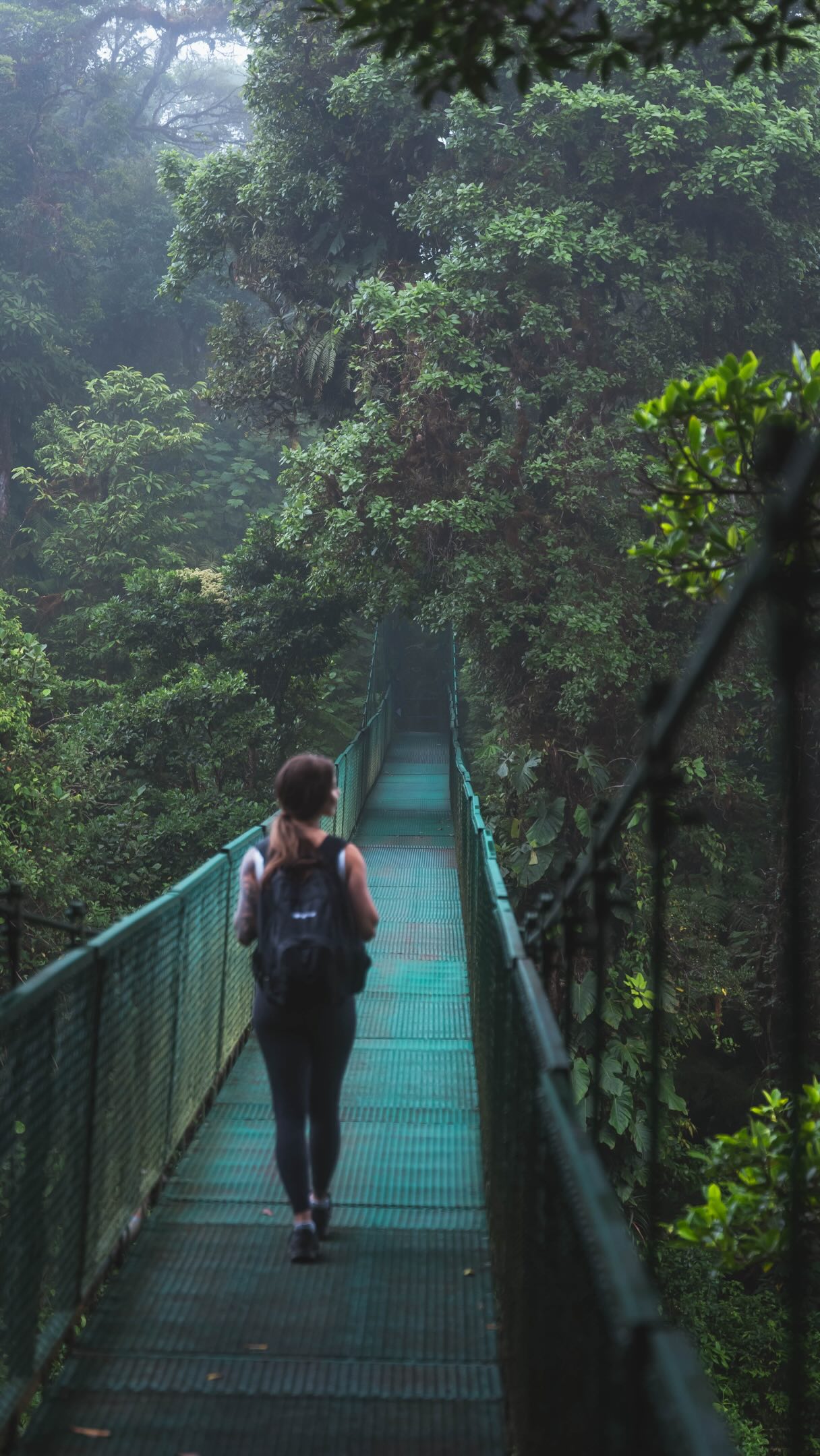 Explore The Natural Wonders Of Costa Rica