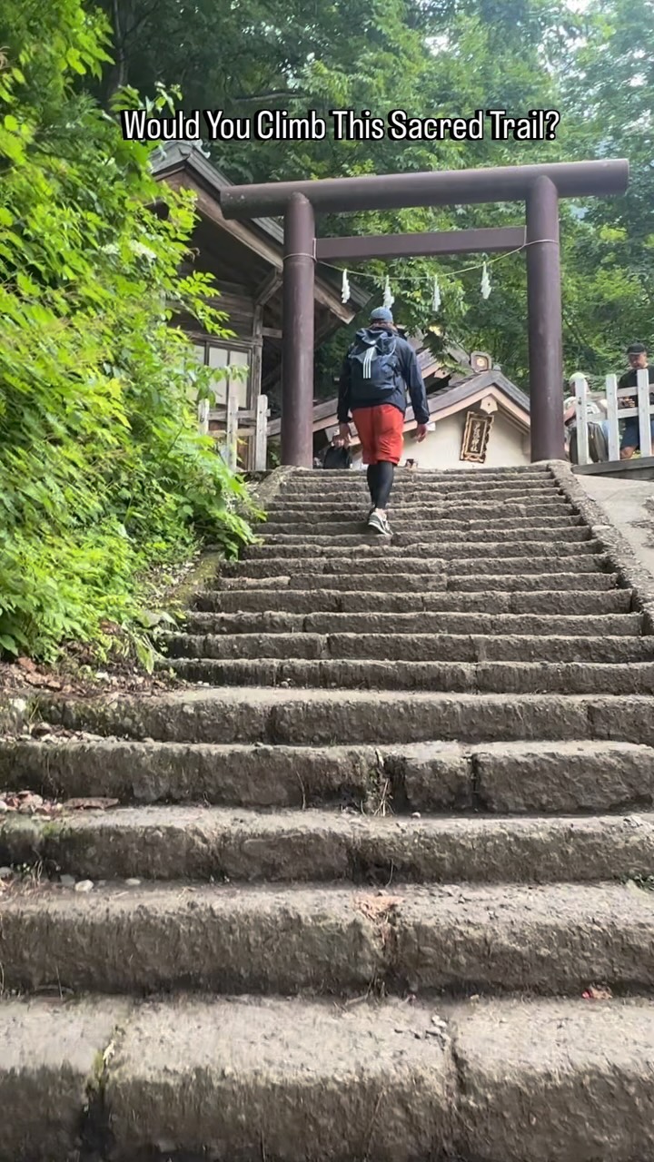 Ancient Cedars and Shrines of Togakushi