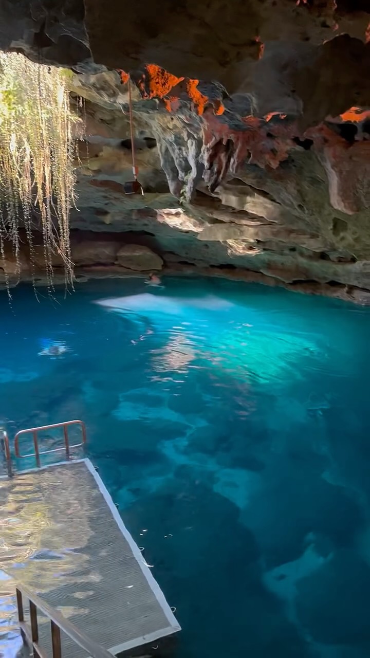 Florida's Natural Wonders: Springs and Gardens