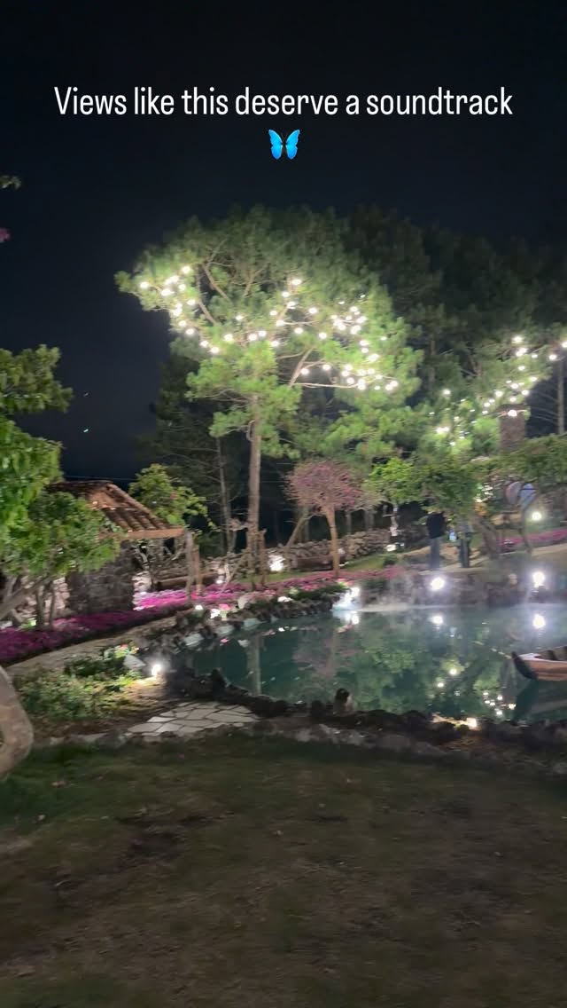 Vietnamese Tea Estate Destination