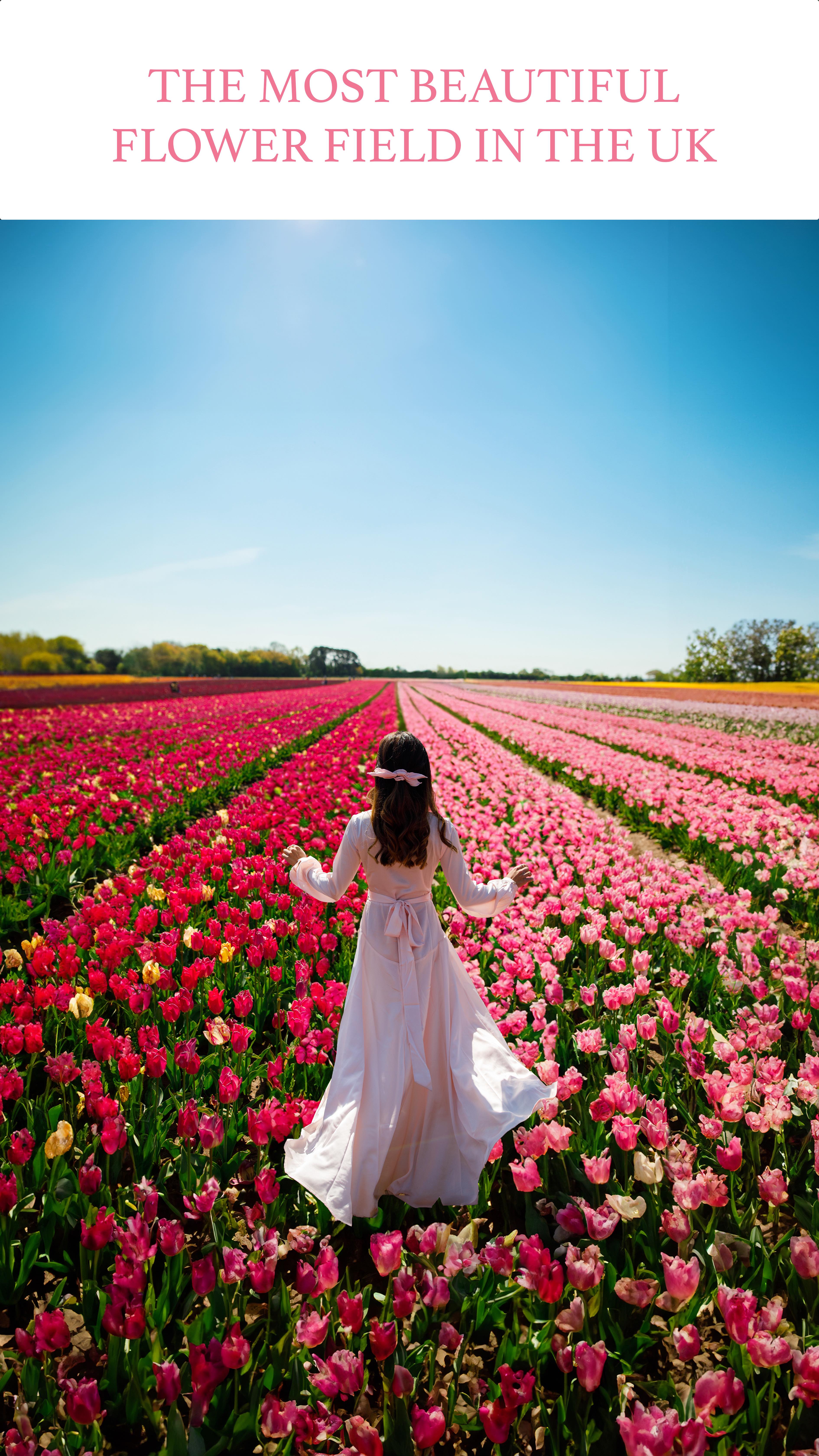Norfolk Tulip Garden Invites Spring Exploration