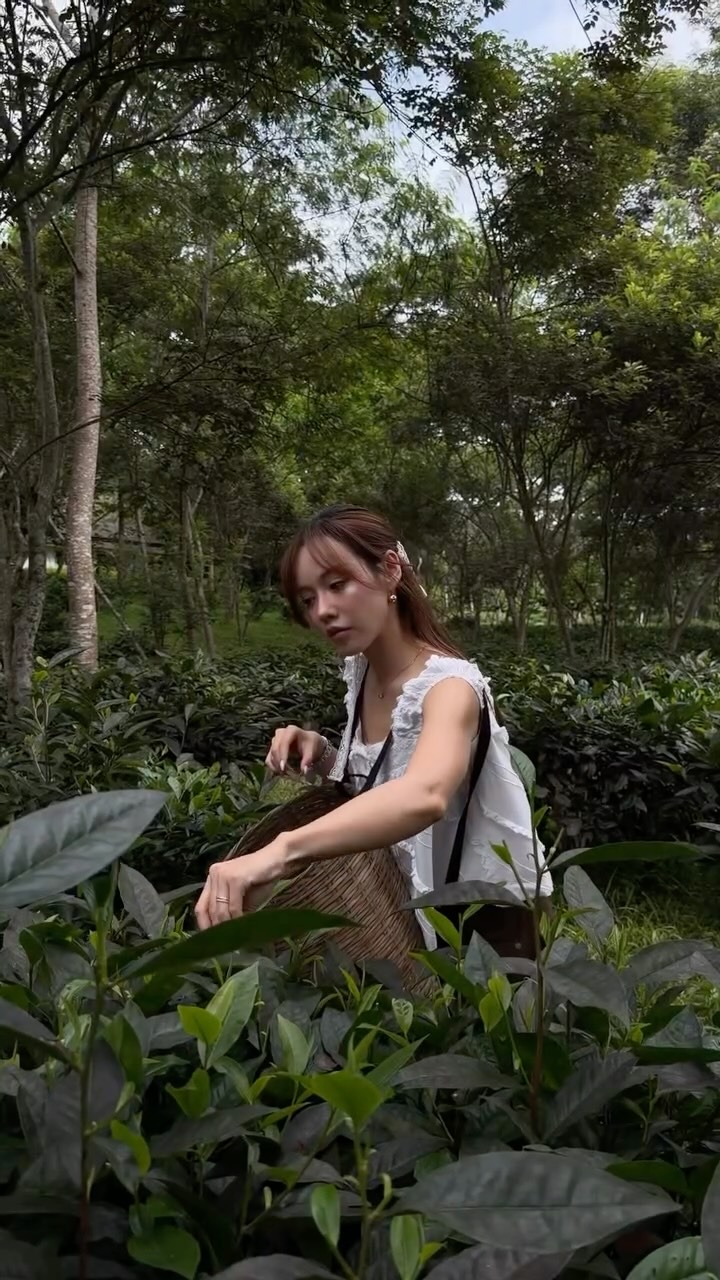 Chiang Mai's Top Dining And Lodging Spots