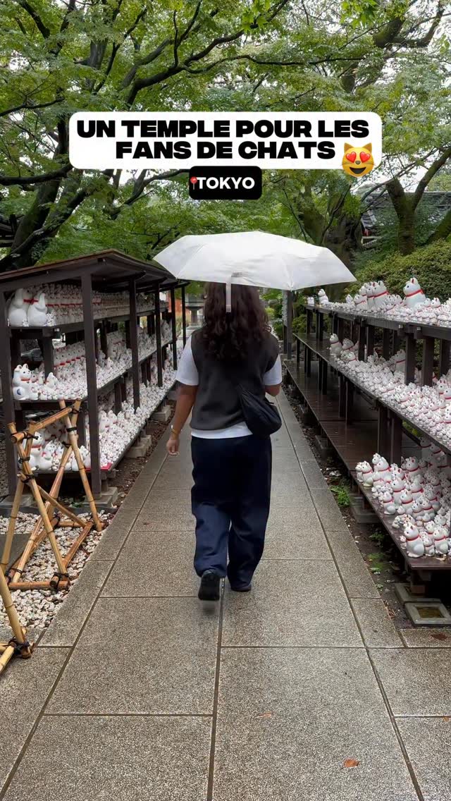 Tokyo's Cat Temple, Shimokitazawa, and Ikebukuro