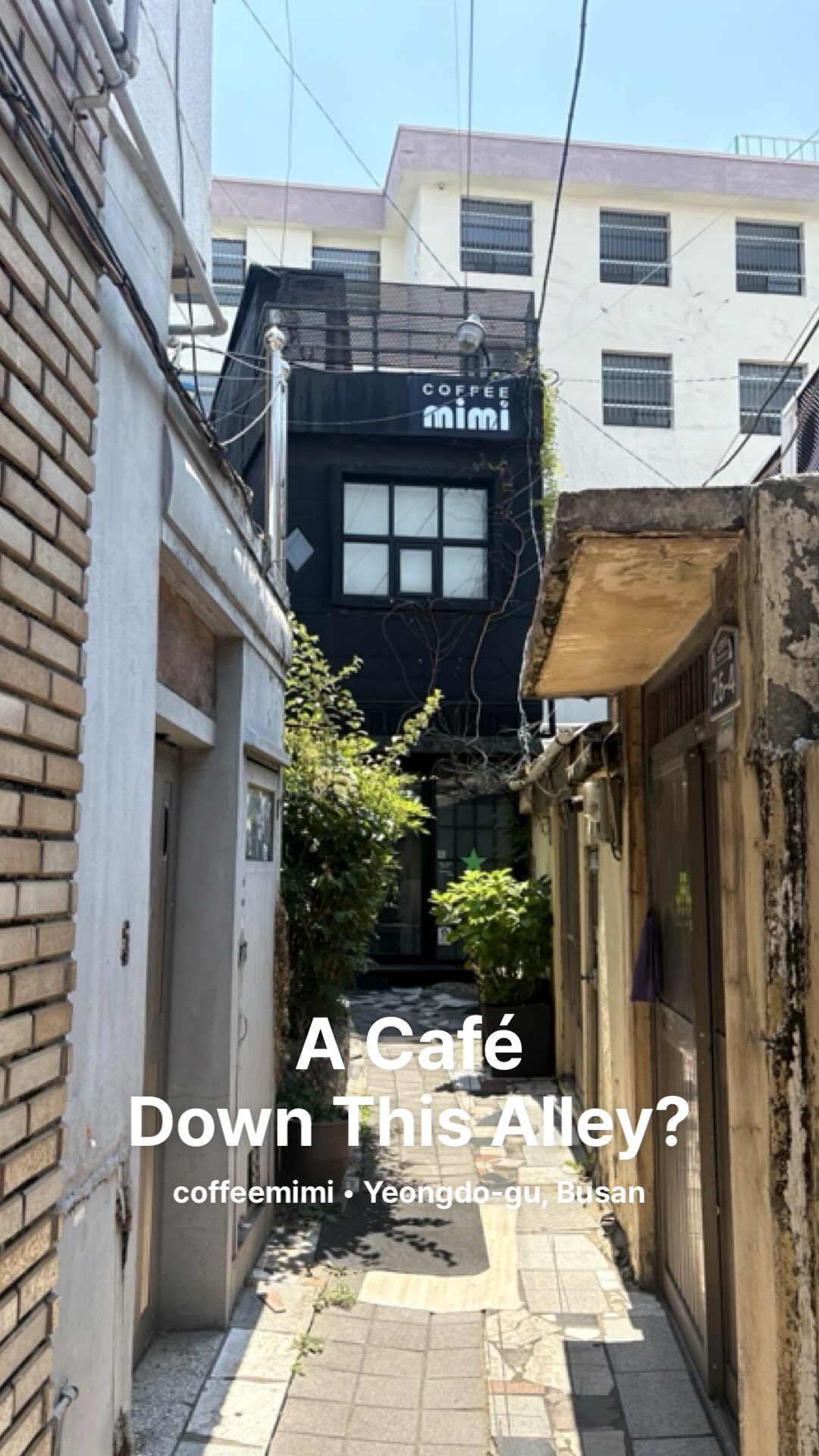 1 Cafes in Busan