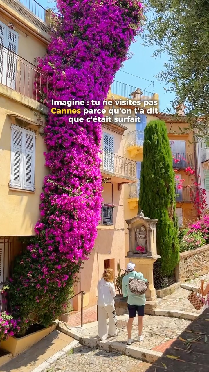 11 Places in Cannes