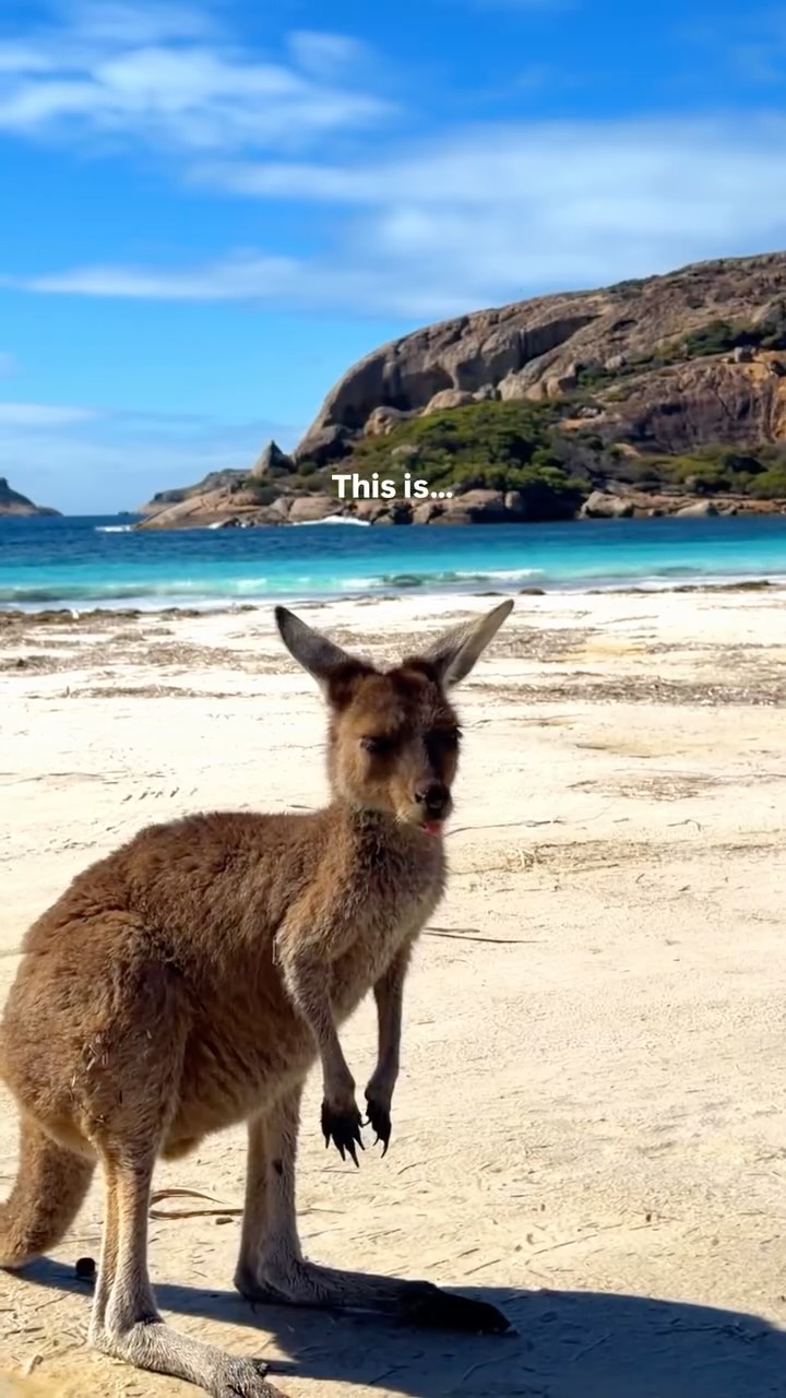 Esperance Beaches Offer Stunning Coastal Beauty