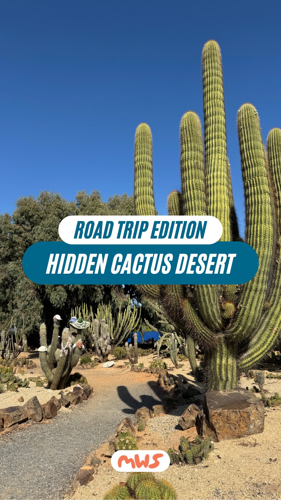 Cactus Country And Other Australian Stays