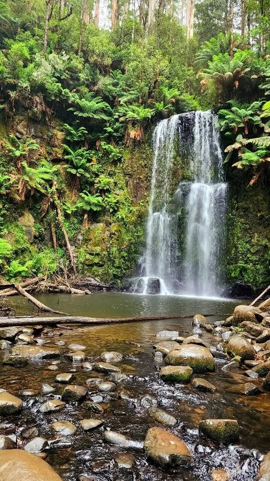 Beauchamp Falls Campground Offers Free Rainforest Camping