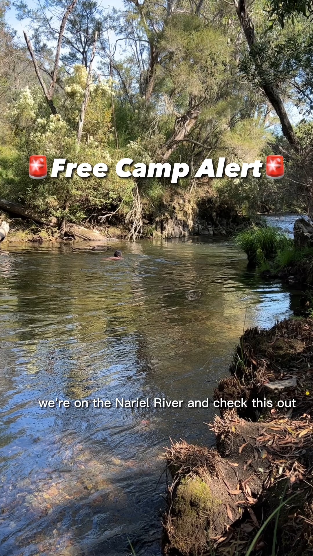 Camping Australia Wide ⛺️🚐, Staceys Bridge