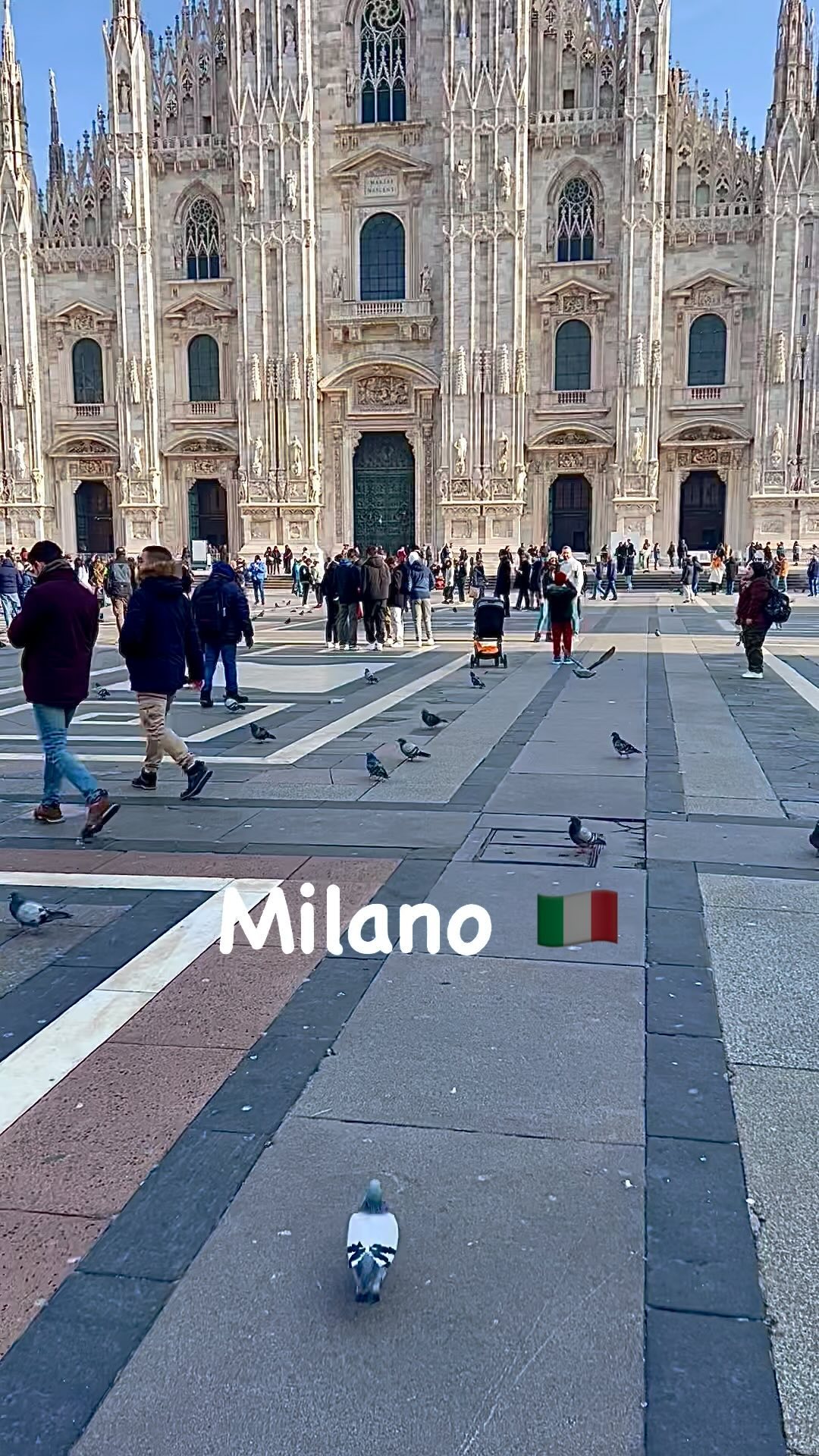 3 Places in Milano