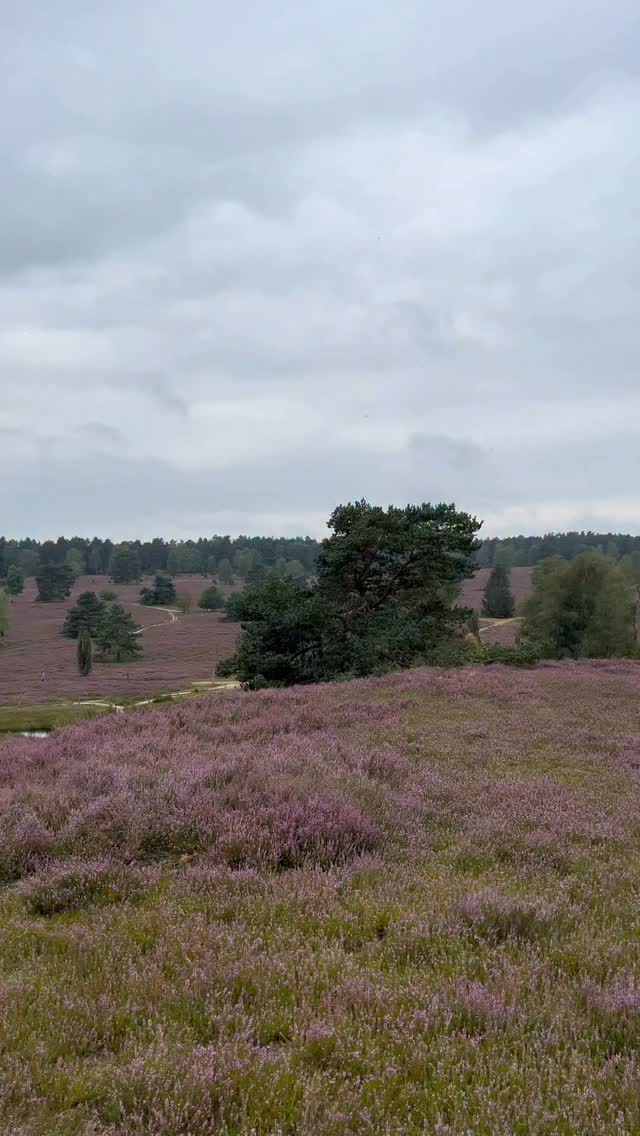 3 Attractions in Lower Saxony