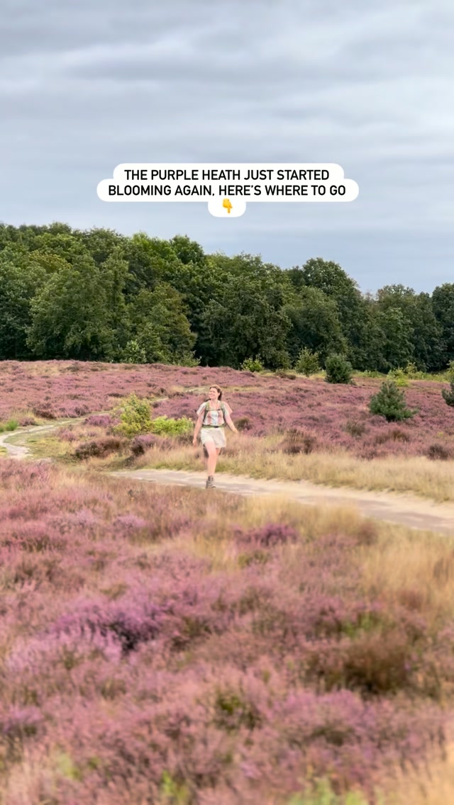 11 Attractions in Vlaanderen