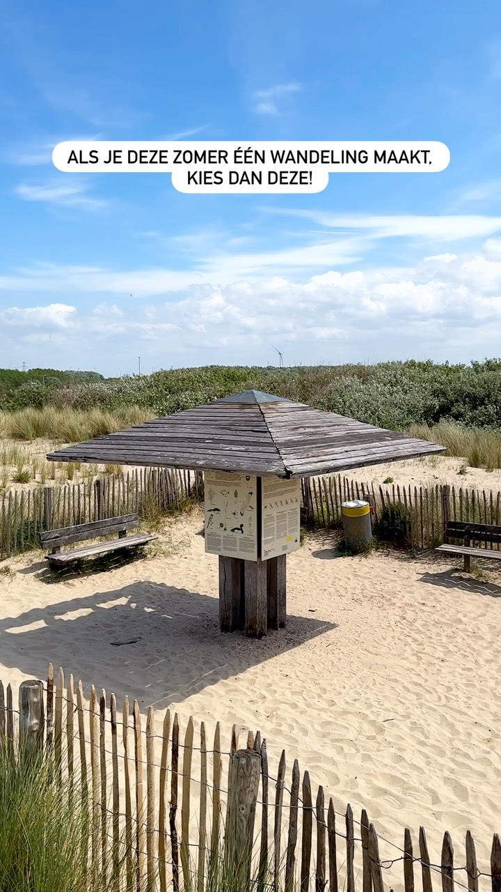 Coastal Dune Walk in Blankenberge