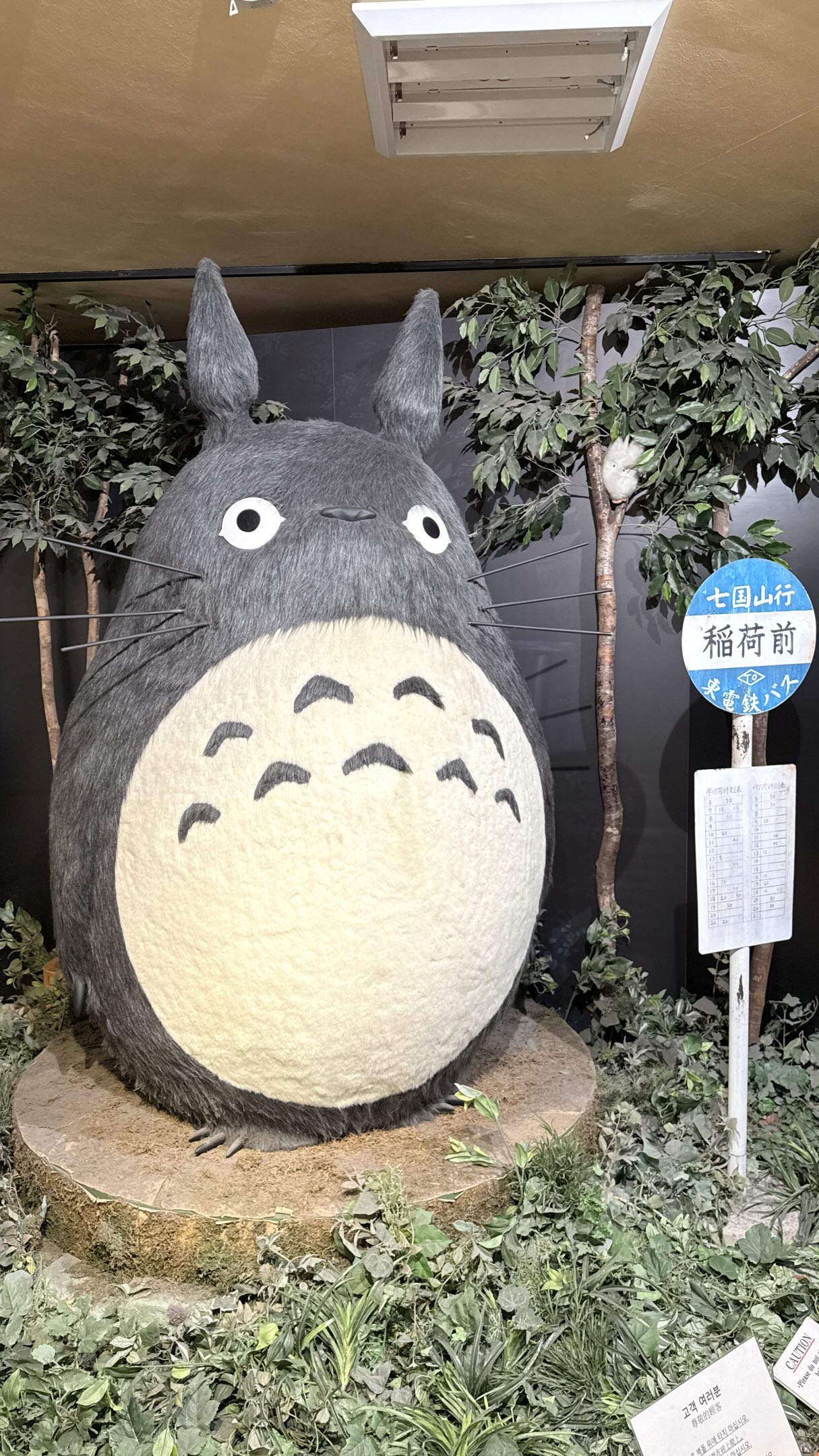 4 Shops in Japan