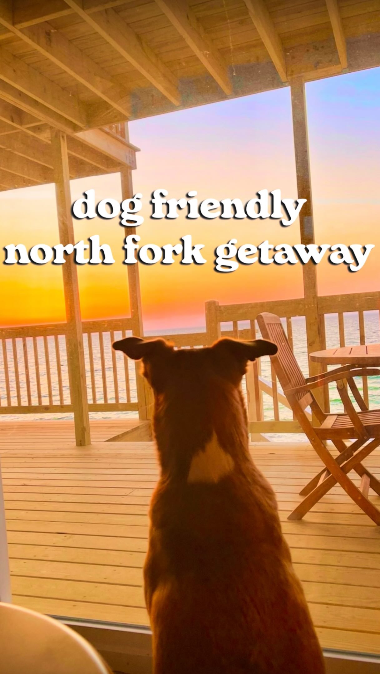 Dog-Friendly Spots on North Fork, Long Island