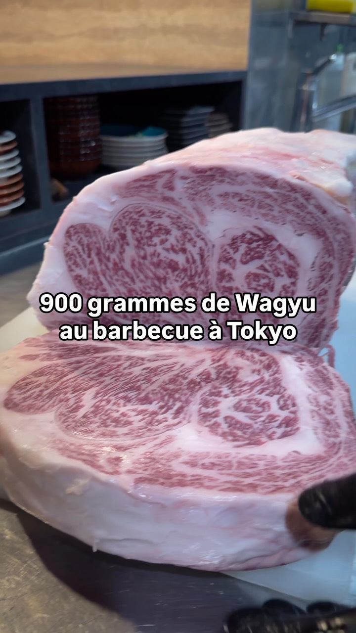 Mogami Wagyu Beef at Coco Nemaru Ginza