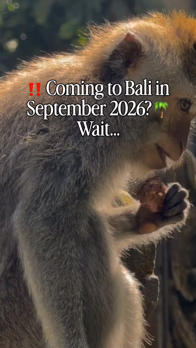 Bali Festivals And Ceremonies In September