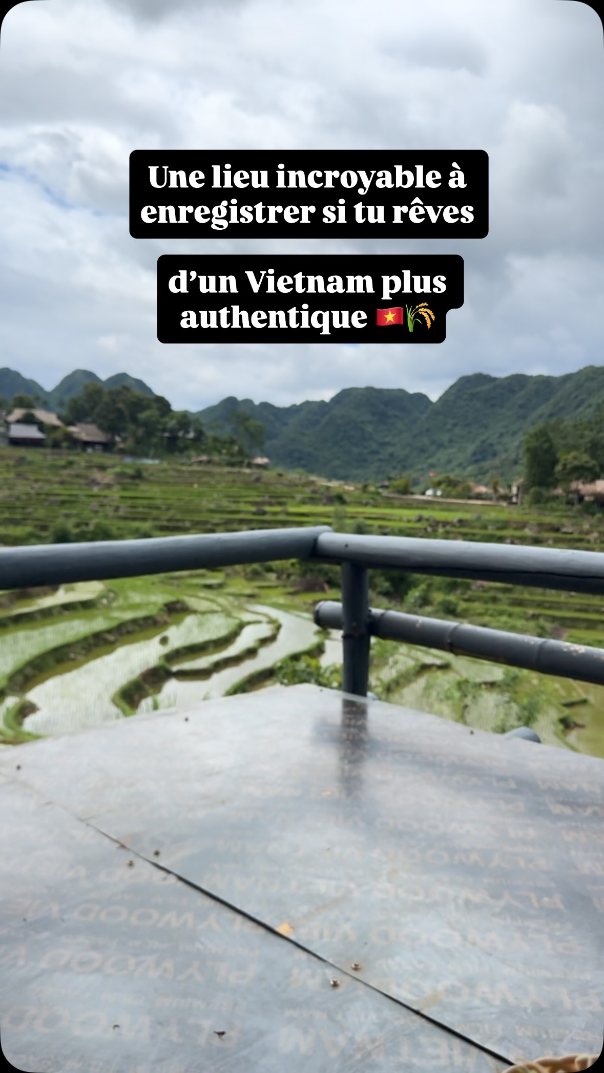 Tranquil Rice Paddies In Vietnam's Pù Luông Region