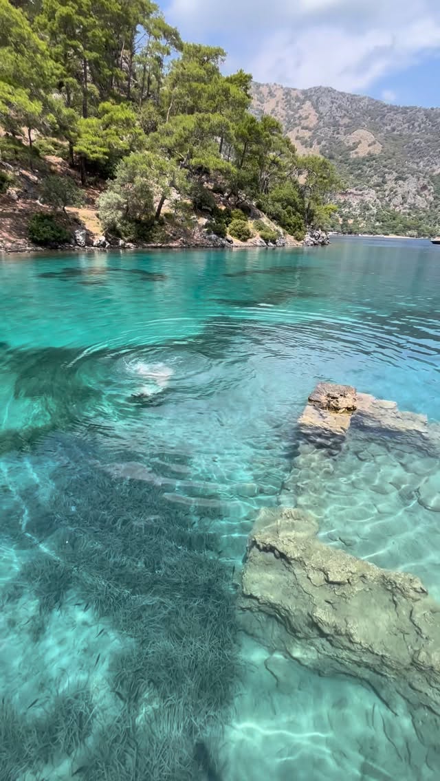 Hamam Koyu: A Scenic Fethiye Bay