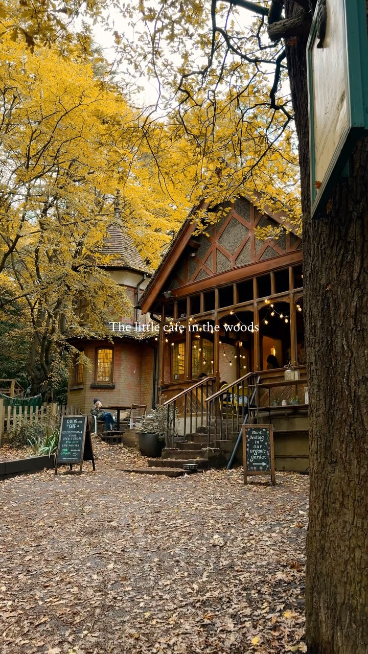Cozy Fairytale Cafe In London Woodland