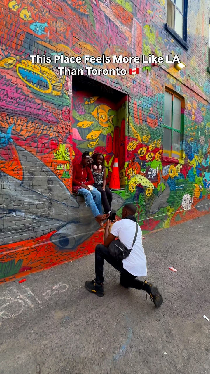 Toronto's Graffiti Alley: An Open-Air Art Gallery