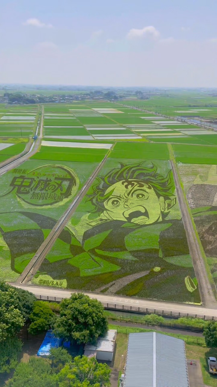 9 Attractions in Japan