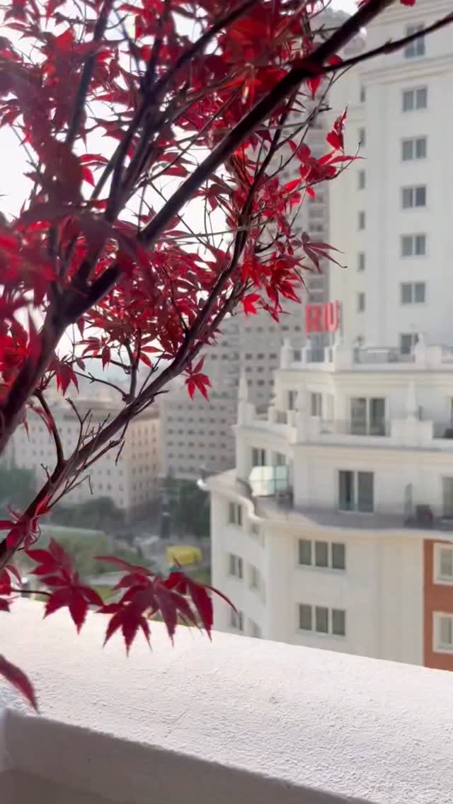 3 Hotels in Madrid